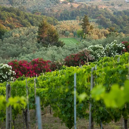 Casa Italia Farm stay *