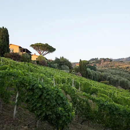 Casa Italia Farm stay