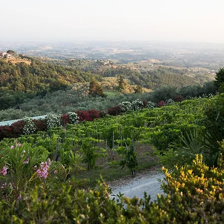 Casa Italia Lamporecchio