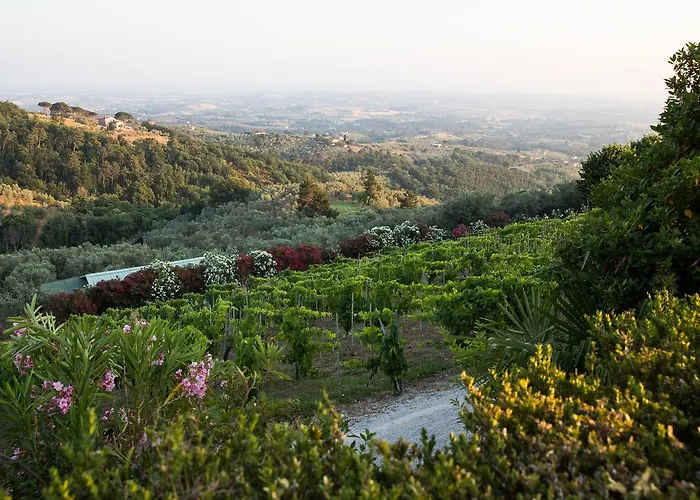 Casa Italia Lamporecchio